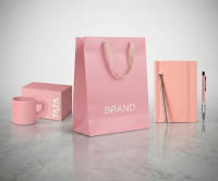 KIT THE ROSE-TINTED DESK